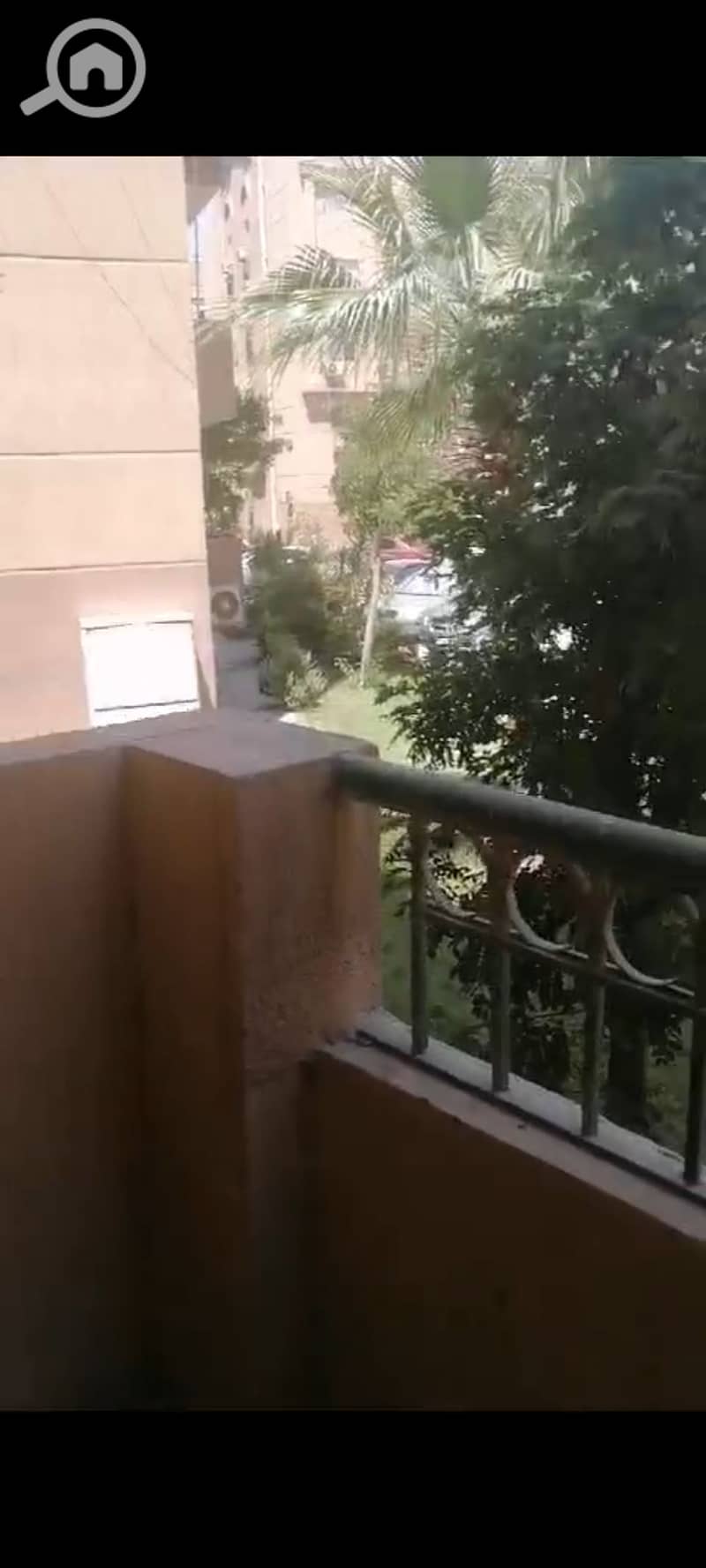 3 1001362144. jpg