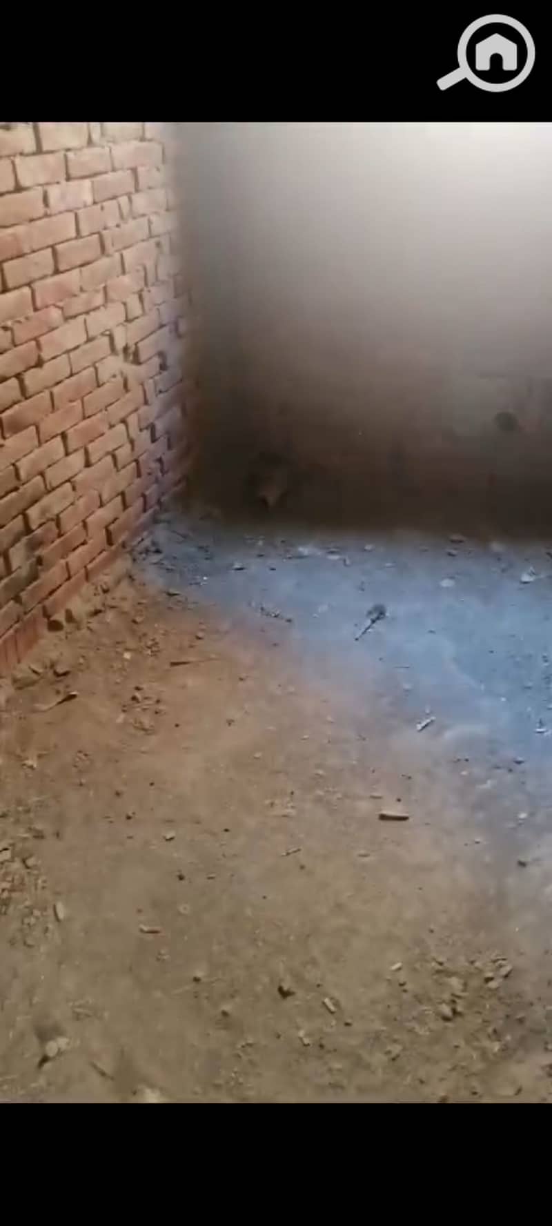 7 1001362148. jpg