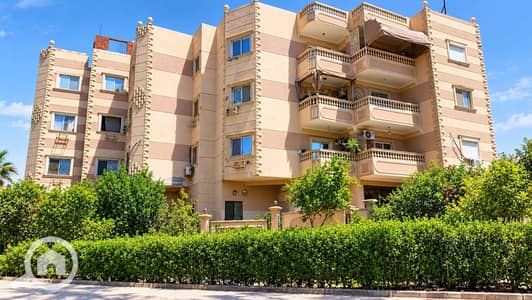 3 Bedroom Apartment for Sale in Shorouk City, Cairo - 1000197123. png 3 Bedroom Apartment for Sale in Shorouk City, Cairo - 1000197123. png