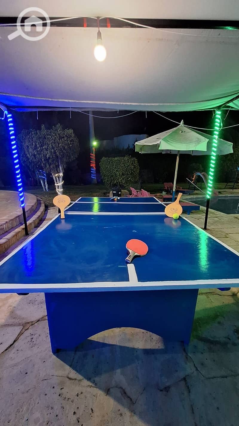 4 94389. jpg