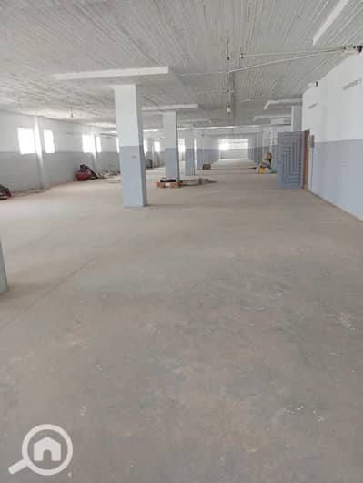 Factory for Rent in 10th of Ramadan, Sharqia - 1000314523. jpg Factory for Rent in 10th of Ramadan, Sharqia - 1000314523. jpg