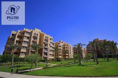 3 Bedroom Apartment for Sale in 6th of October, Giza - IMG_8450. jpg