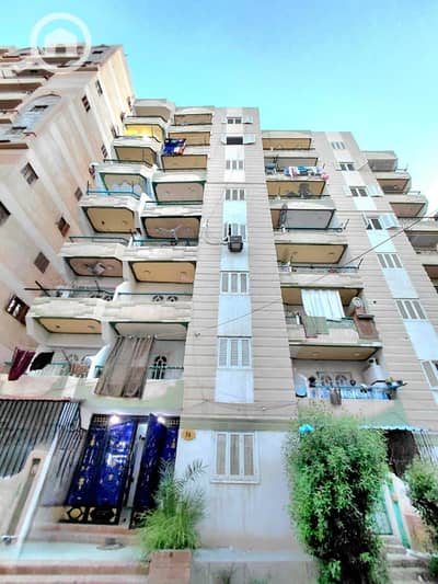 شقة 2 غرفة نوم للبيع في النخيل، الإسكندرية - 1000719371. jpg شقة 2 غرفة نوم للبيع في النخيل، الإسكندرية - 1000719371. jpg