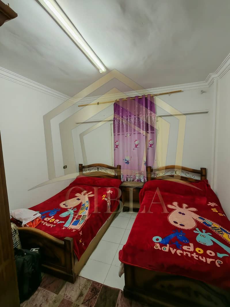 7 affordable-furnished-rent-near-zed-park-zayed. jpg. jpeg