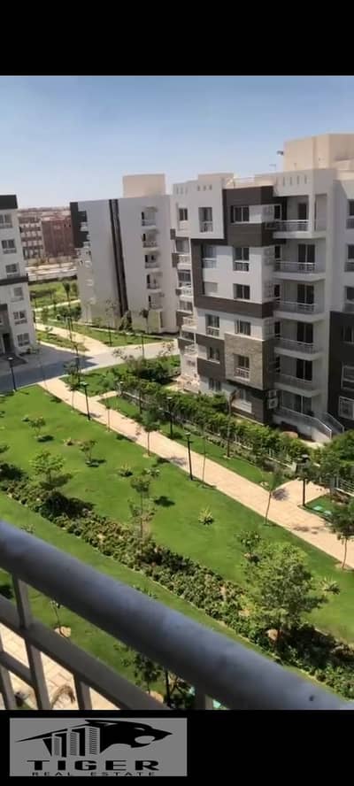 3 Bedroom Flat for Rent in Madinaty, Cairo - 122013. jpg 3 Bedroom Flat for Rent in Madinaty, Cairo - 122013. jpg