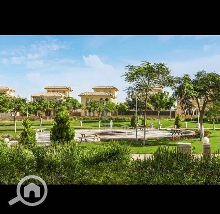12 24377. jpg