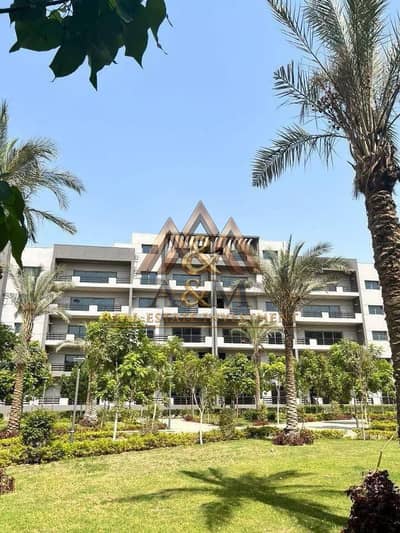 3 Bedroom Flat for Sale in Sheraton, Cairo - 574857295_825349607214685_2362652994032494455_n. jpg 3 Bedroom Flat for Sale in Sheraton, Cairo - 574857295_825349607214685_2362652994032494455_n. jpg