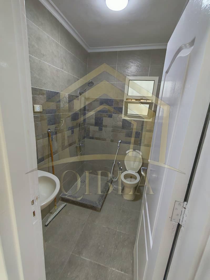 6 brand-new-flat-near-the-courtyard-sheikh-zayed. jpg. jpeg