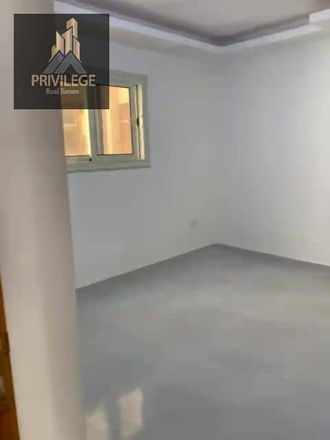 7 1000069870. jpg