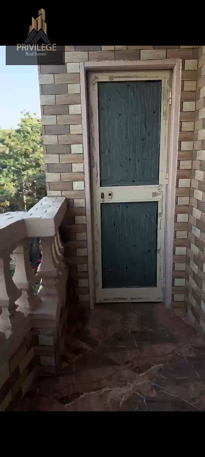 5 1000069985. jpg