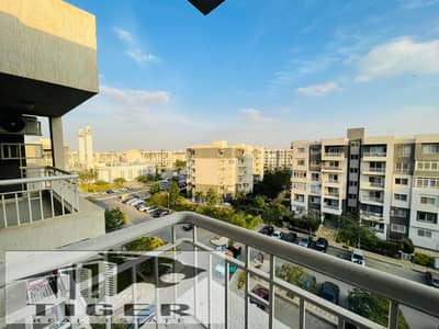 3 Bedroom Flat for Sale in Madinaty, Cairo - 1000129458. jpg 3 Bedroom Flat for Sale in Madinaty, Cairo - 1000129458. jpg