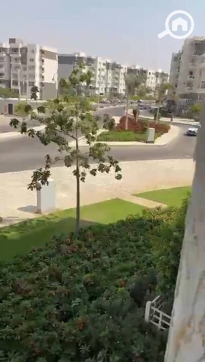 3 Bedroom Flat for Sale in Madinaty, Cairo - IMG-20251118-WA0177. jpg