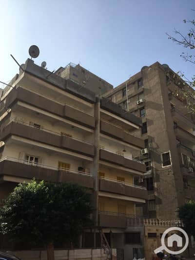 عقار سكني آخر 10+ غرف نوم للبيع في مدينة نصر، القاهرة - WhatsApp Image 2026-09-28 at 2.58. 25 PM. jpeg عقار سكني آخر 10+ غرف نوم للبيع في مدينة نصر، القاهرة - WhatsApp Image 2026-09-28 at 2.58. 25 PM. jpeg