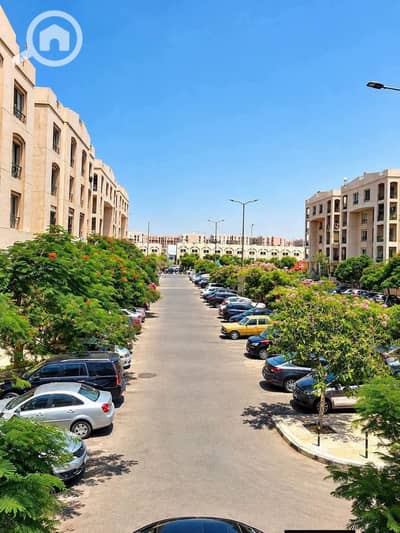 شقة 3 غرف نوم للبيع في القاهرة الجديدة، القاهرة - 845962. jpg شقة 3 غرف نوم للبيع في القاهرة الجديدة، القاهرة - 845962. jpg