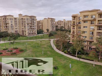 3 Bedroom Apartment for Rent in Madinaty, Cairo - 123029. jpg 3 Bedroom Apartment for Rent in Madinaty, Cairo - 123029. jpg