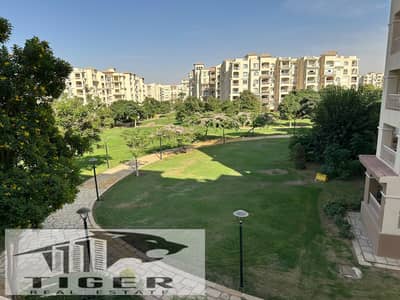 3 Bedroom Flat for Rent in Madinaty, Cairo - 123299. jpg 3 Bedroom Flat for Rent in Madinaty, Cairo - 123299. jpg