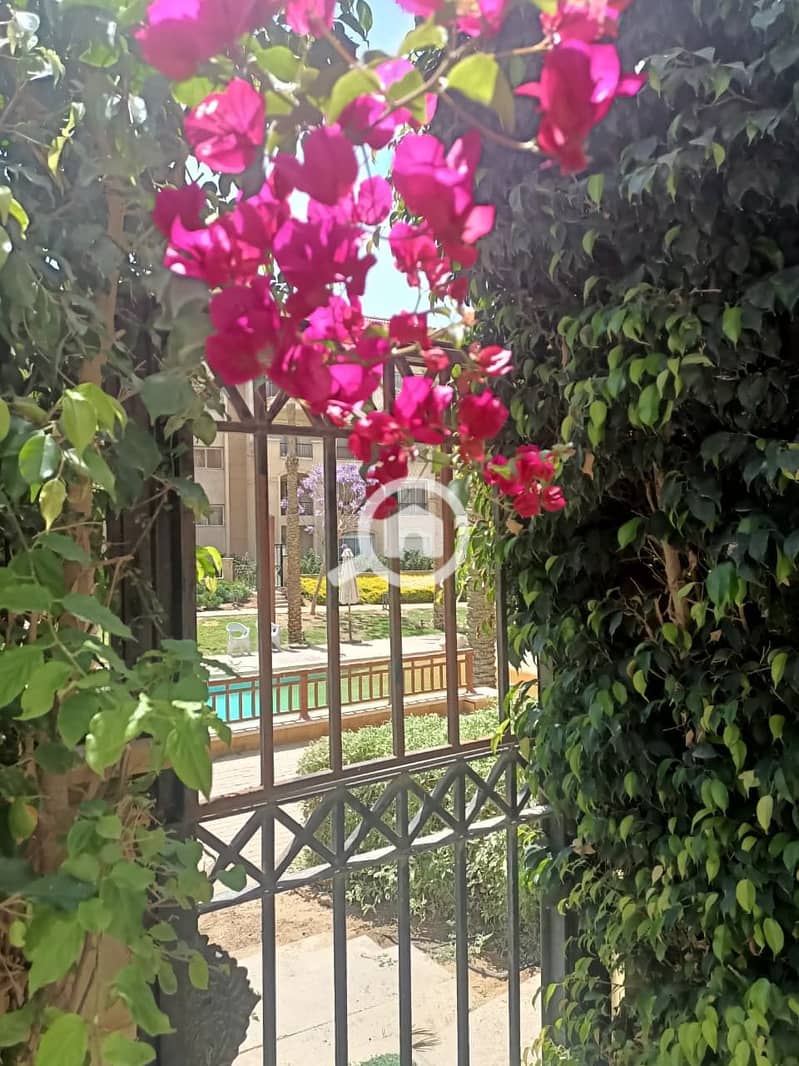 7 WhatsApp-Image-2026-09-23-at-1.49. 47-PM-1. jpeg