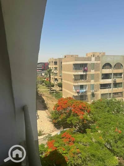 شقة 3 غرف نوم للايجار في الشيخ زايد، الجيزة - WhatsApp Image 2026-09-28 at 4.43. 35 PM (1). jpeg شقة 3 غرف نوم للايجار في الشيخ زايد، الجيزة - WhatsApp Image 2026-09-28 at 4.43. 35 PM (1). jpeg
