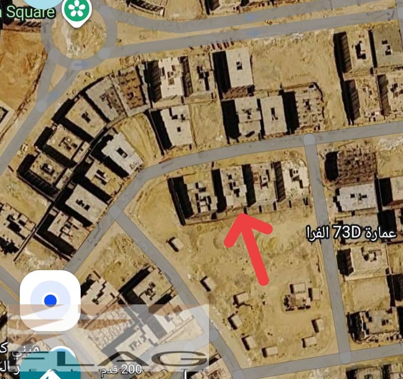 3 1000631570. jpg