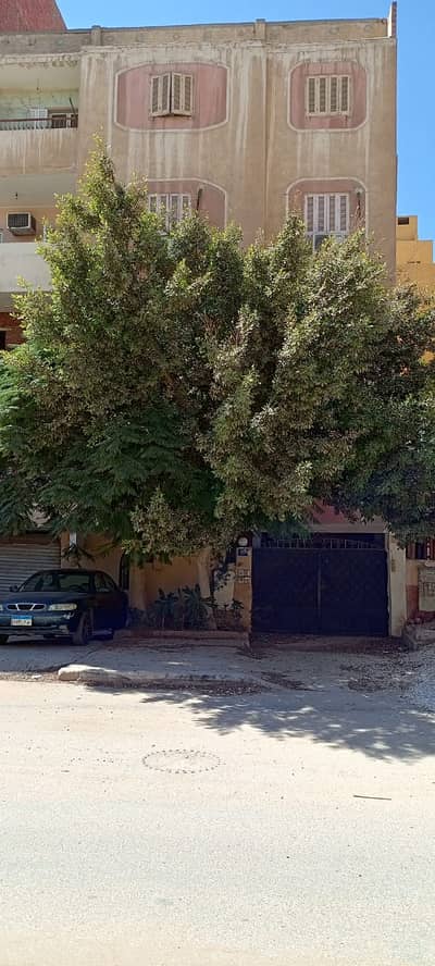 Land for Sale in 6th of October, Giza - فرصة مميزة لامتلاك عمارة في قلب مدينة 6 أكتوبر! Land for Sale in 6th of October, Giza - فرصة مميزة لامتلاك عمارة في قلب مدينة 6 أكتوبر!