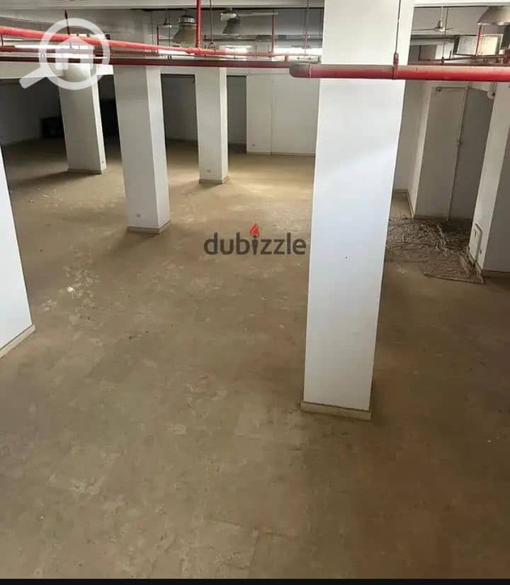 9 1000467376. jpg
