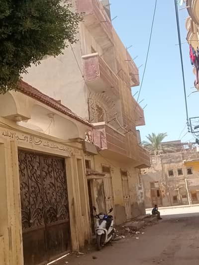 عقارات تجارية اخرى للبيع في إدكو، البحيرة - ق أرض خالية عليها مبنى وحديقةمسجلة مميزة١٠٠٠ م عقارات تجارية اخرى للبيع في إدكو، البحيرة - ق أرض خالية عليها مبنى وحديقةمسجلة مميزة١٠٠٠ م