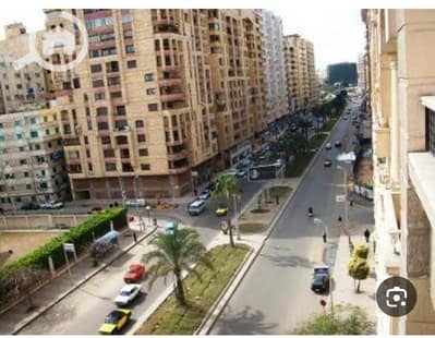 3 Bedroom Apartment for Rent in Smoha, Alexandria - 1000383831. jpg