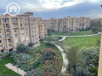 2 Bedroom Apartment for Rent in Madinaty, Cairo - 1000637008. jpg