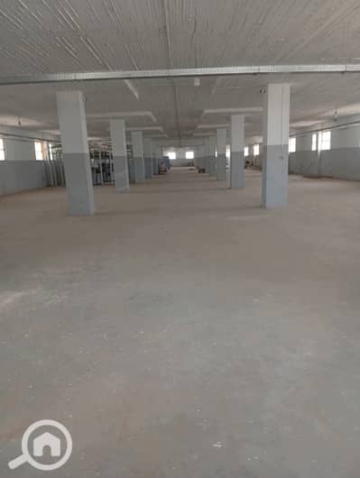 Factory for Rent in New Cairo, Cairo - 1000314521. jpg Factory for Rent in New Cairo, Cairo - 1000314521. jpg