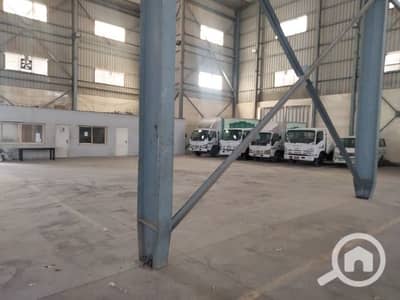 مصنع  للايجار في برج العرب، الإسكندرية - New Borg El Arab Şehri'nde kiralık fabrika