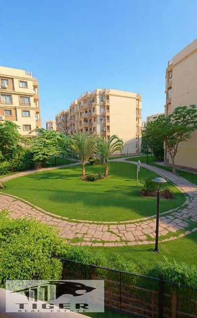3 Bedroom Apartment for Sale in Madinaty, Cairo - 1002737909. jpg 3 Bedroom Apartment for Sale in Madinaty, Cairo - 1002737909. jpg
