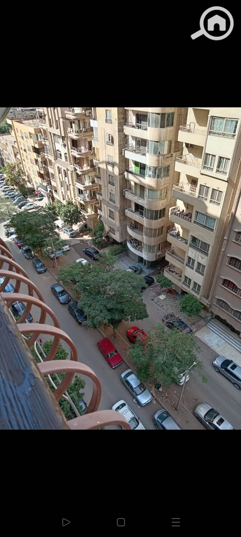 5 1000791450. jpg