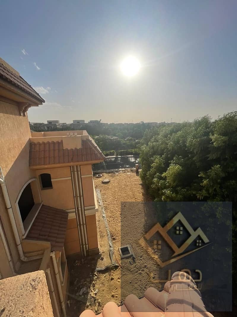 25 563566. jpg