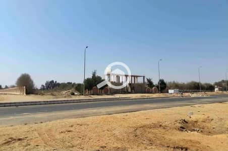 Land for Sale in 6th of October, Giza - 1000113773. jpg