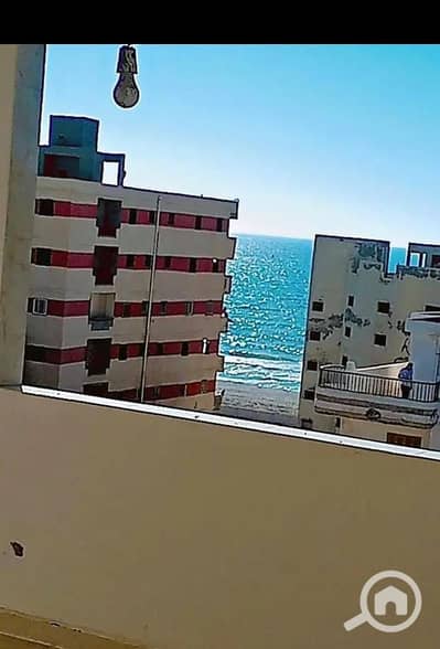 3 Bedroom Apartment for Sale in Agami, Alexandria - IMG-20260928-WA0040. jpg 3 Bedroom Apartment for Sale in Agami, Alexandria - IMG-20260928-WA0040. jpg