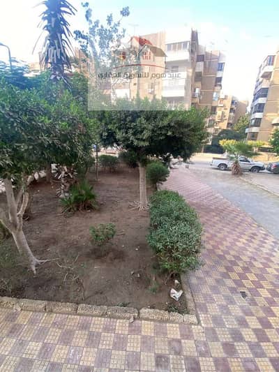 3 Bedroom Flat for Sale in Nasr City, Cairo - WhatsApp Image 2026-09-24 at 6.00. 53 PM (2). jpeg 3 Bedroom Flat for Sale in Nasr City, Cairo - WhatsApp Image 2026-09-24 at 6.00. 53 PM (2). jpeg