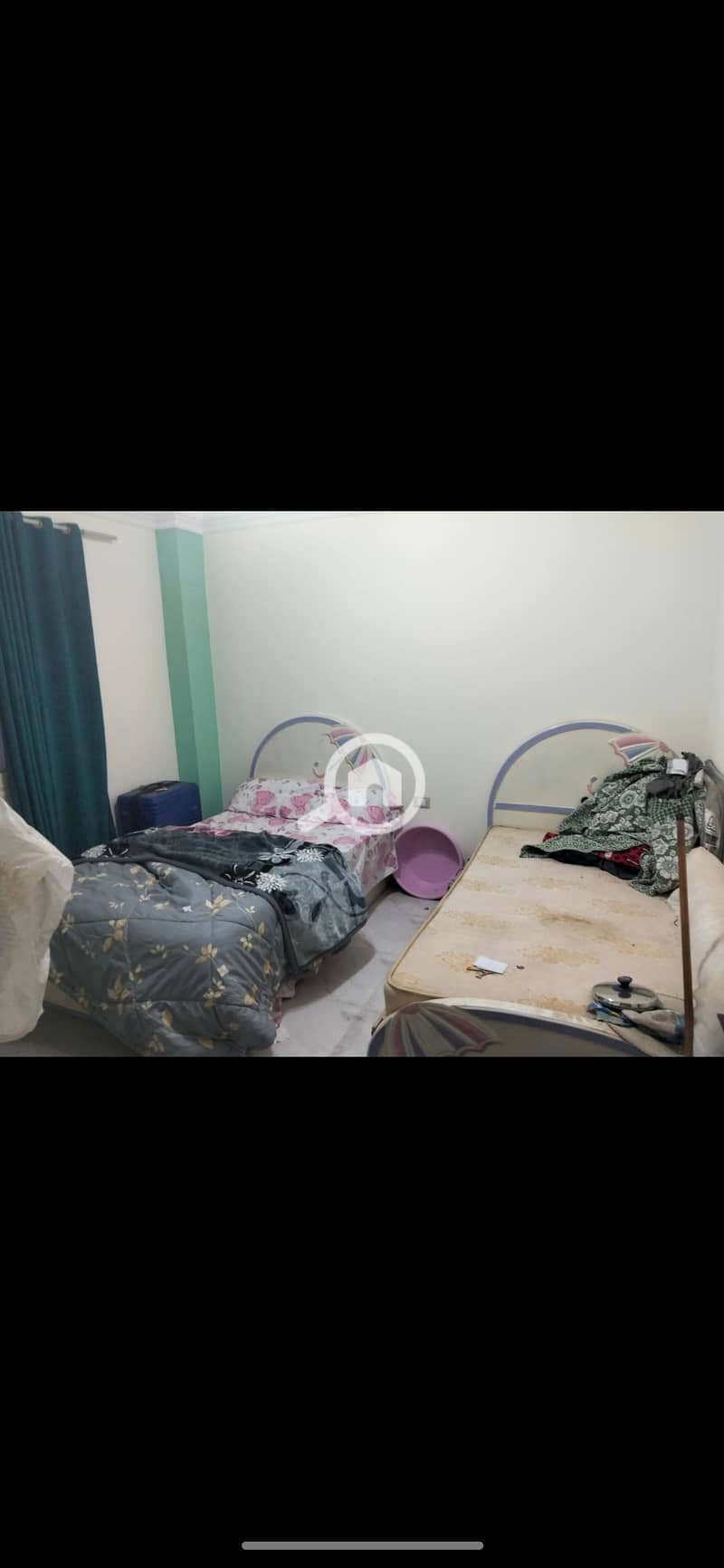 5 1008109. jpg