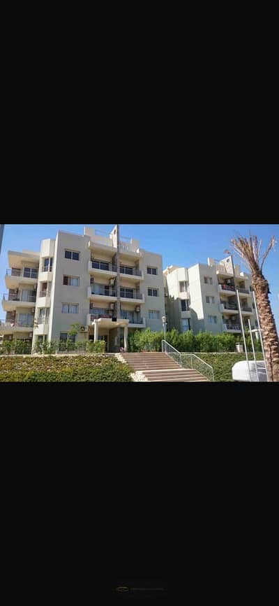 شقة 2 غرفة نوم للايجار في الشيخ زايد، الجيزة - WhatsApp Image 2026-09-29 at 1.38. 35 PM (3). jpeg شقة 2 غرفة نوم للايجار في الشيخ زايد، الجيزة - WhatsApp Image 2026-09-29 at 1.38. 35 PM (3). jpeg