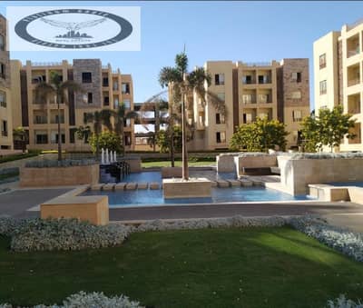 3 Bedroom Apartment for Rent in New Cairo, Cairo - b23faad1-a9d6-4b3c-b6aa-2babbc2d0867. jpg