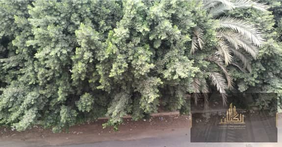 3 Bedroom Flat for Sale in Shorouk City, Cairo - Screenshot 2026-09-29 141027. png 3 Bedroom Flat for Sale in Shorouk City, Cairo - Screenshot 2026-09-29 141027. png