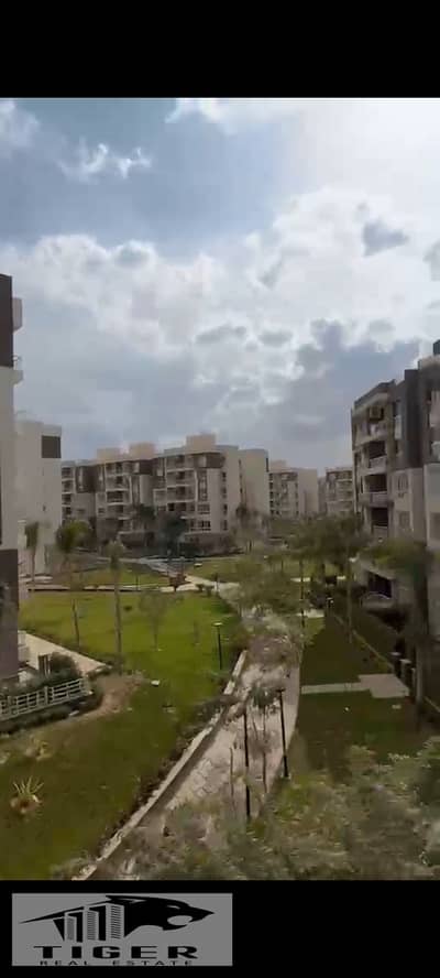 3 Bedroom Flat for Rent in Madinaty, Cairo - 125468. jpg 3 Bedroom Flat for Rent in Madinaty, Cairo - 125468. jpg