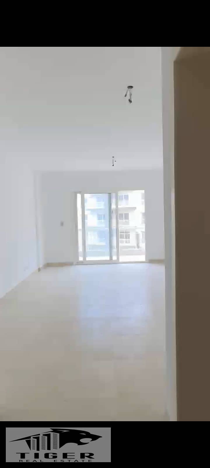 4 125448. jpg