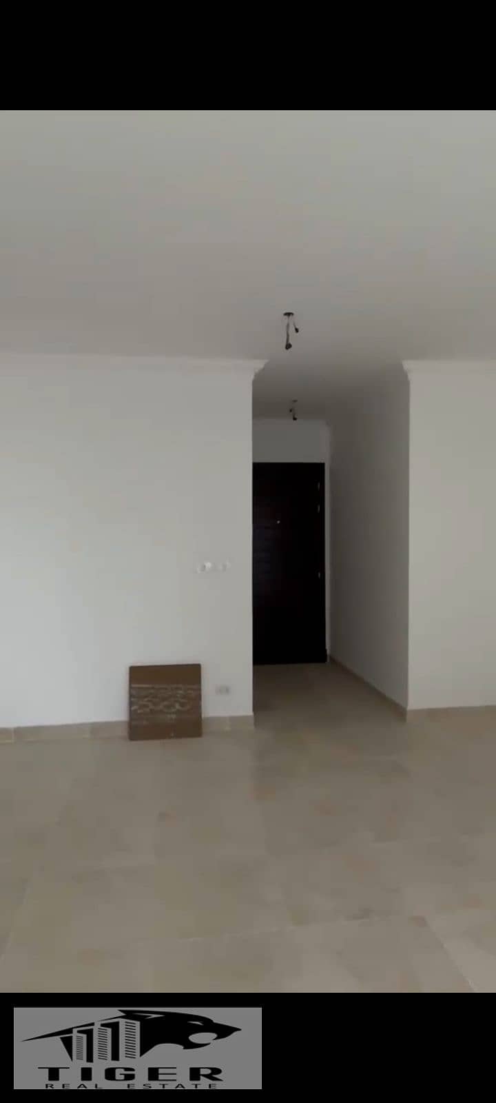 7 125459. jpg