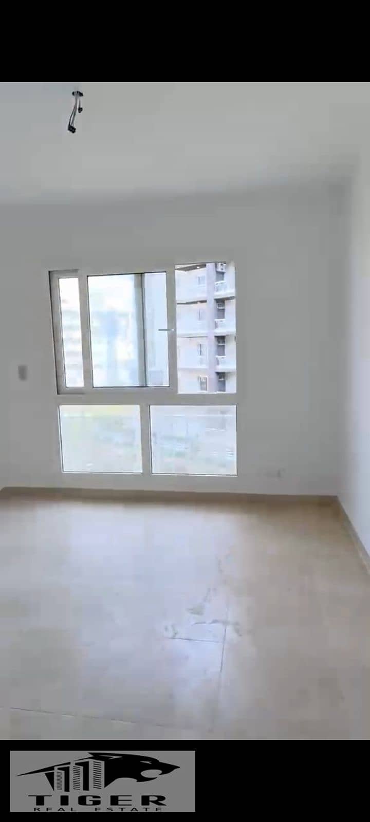 9 125462. jpg