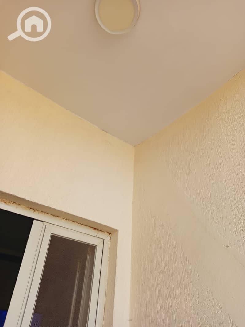 2 1000456803. jpg