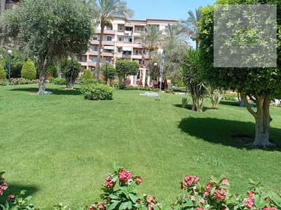 3 Bedroom Apartment for Rent in New Cairo, Cairo - ec2a4911-4060-4904-9331-dba15b0d99bf. jpg
