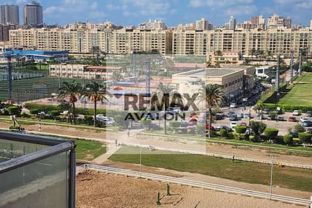 3 Bedroom Flat for Sale in Smoha, Alexandria - 1. jpg
