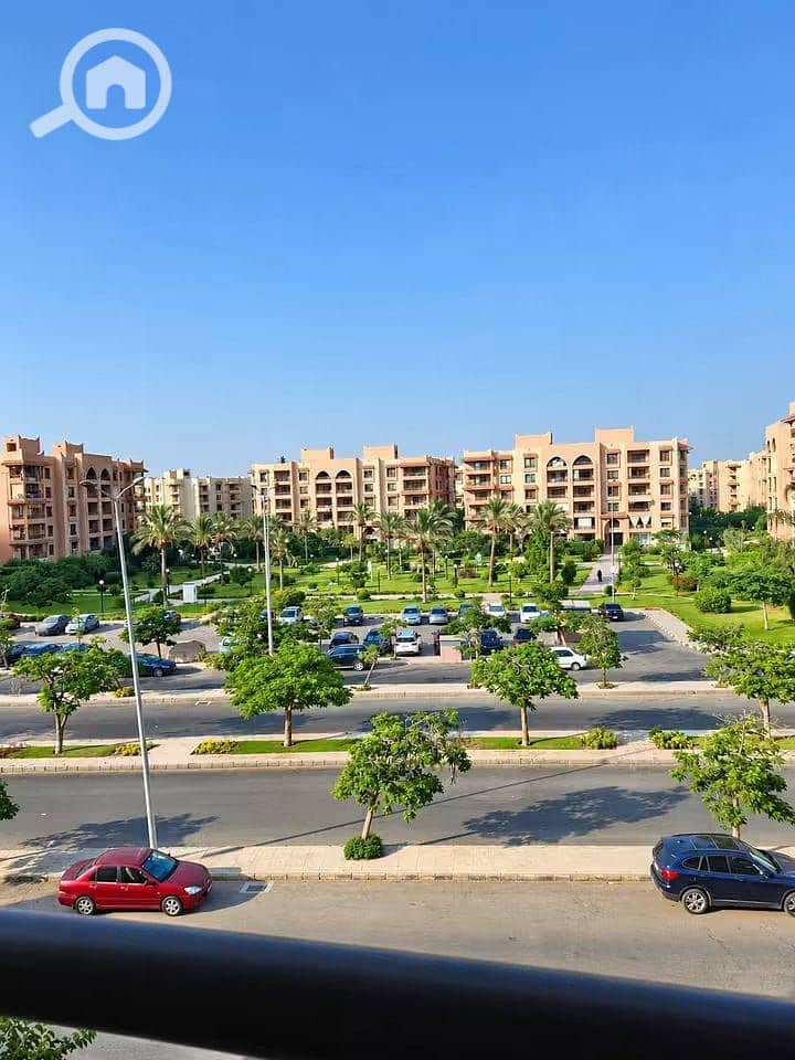 7 531755. jpg