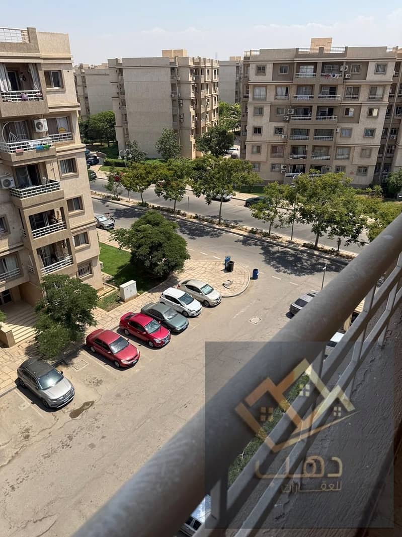 3 564115. jpg