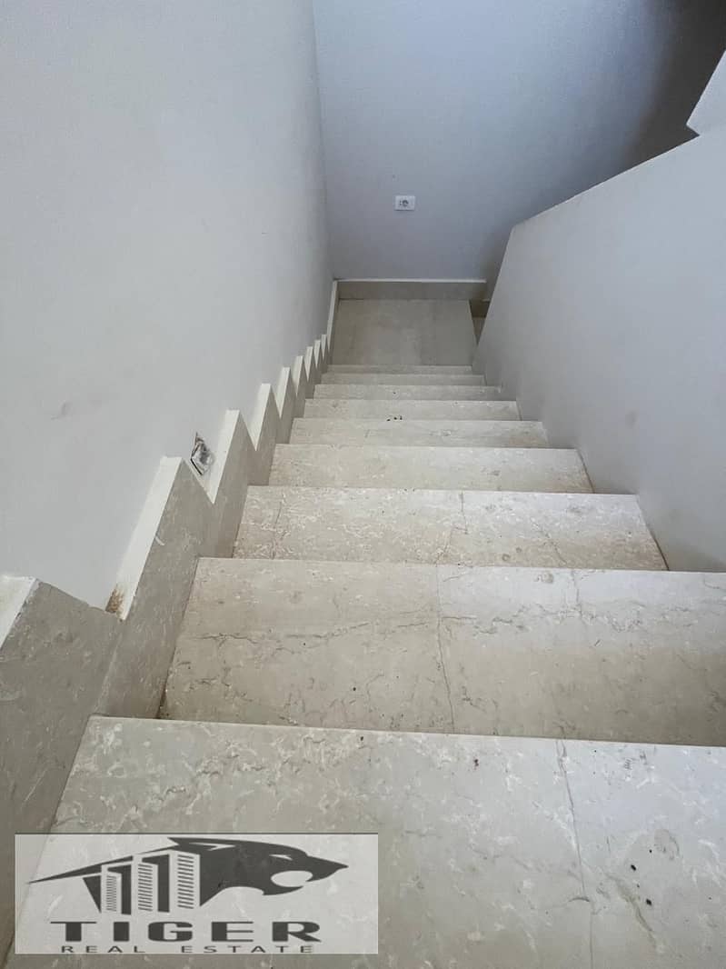 8 357937. jpg